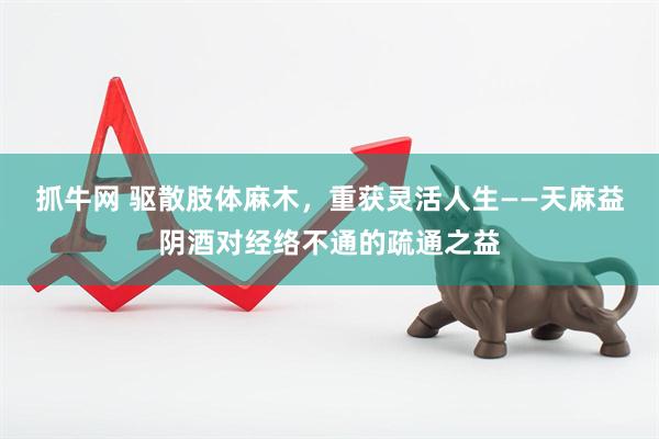 抓牛网 驱散肢体麻木，重获灵活人生——天麻益阴酒对经络不通的疏通之益