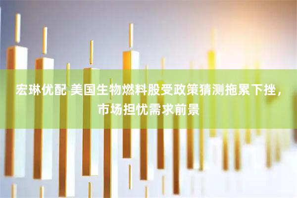 宏琳优配 美国生物燃料股受政策猜测拖累下挫，市场担忧需求前景