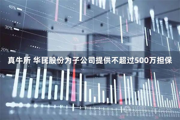 真牛所 华民股份为子公司提供不超过500万担保