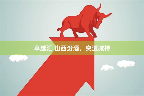 卓越汇 山西汾酒，突遭减持
