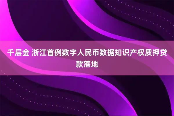 千层金 浙江首例数字人民币数据知识产权质押贷款落地