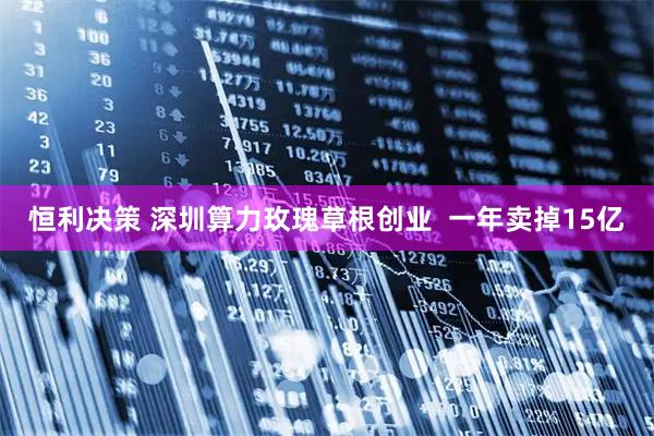 恒利决策 深圳算力玫瑰草根创业  一年卖掉15亿
