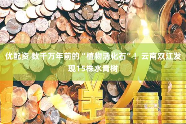 优配资 数千万年前的“植物活化石”！云南双江发现15株水青树